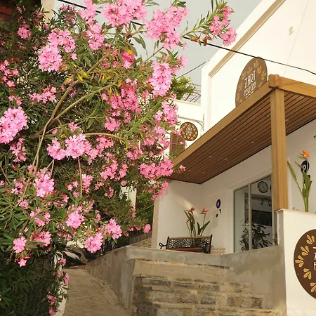 Apartman Seven Art Feslegen