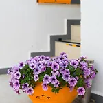 Seven Art Feslegen Apartment *