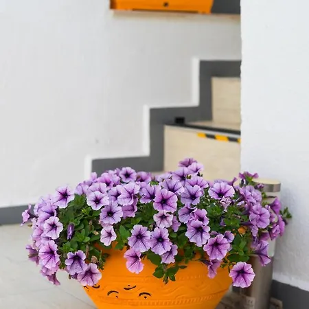 Seven Art Feslegen Apartment *